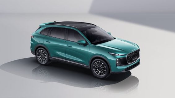 lepas l8 verde lateral parado