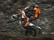 KTM Adventure 390 (2)