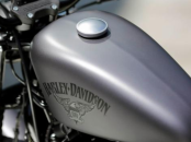 Harley Davidson Iron 880 (1)