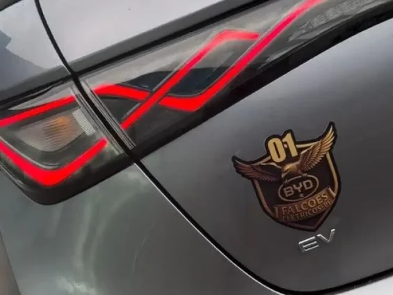 Falcoes eletricos BYD