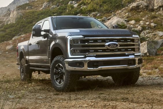 Pássaro raro faz ninho em pneu de uma Ford F-250, que agora não pode sair do lugar até os filhotes voarem