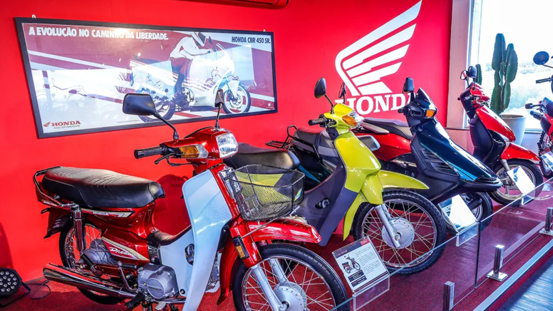 Museu da Honda (3)