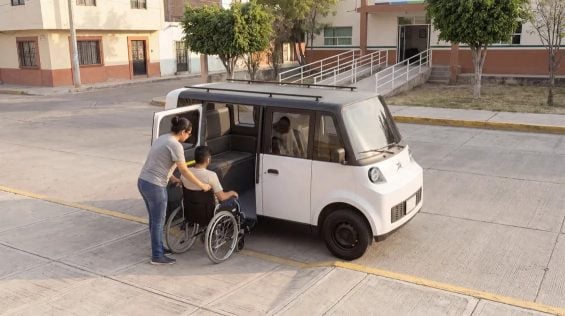 Olinia Uno (2)