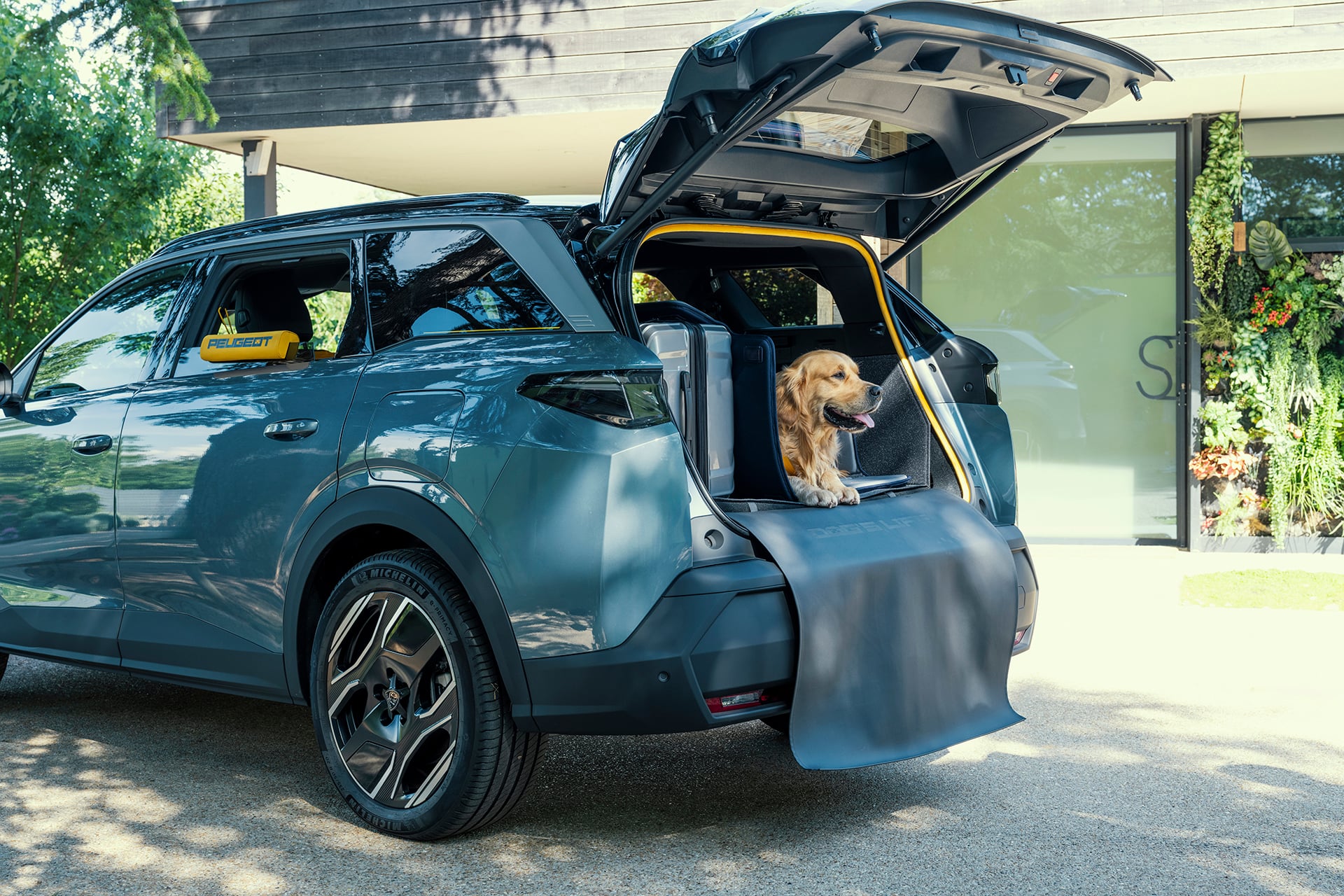 Peugeot cria versão do 5008 feita com foco total no bem-estar dos cachorros