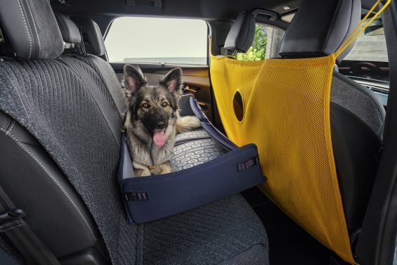 Peugeot E 5008 Dog Edition 2