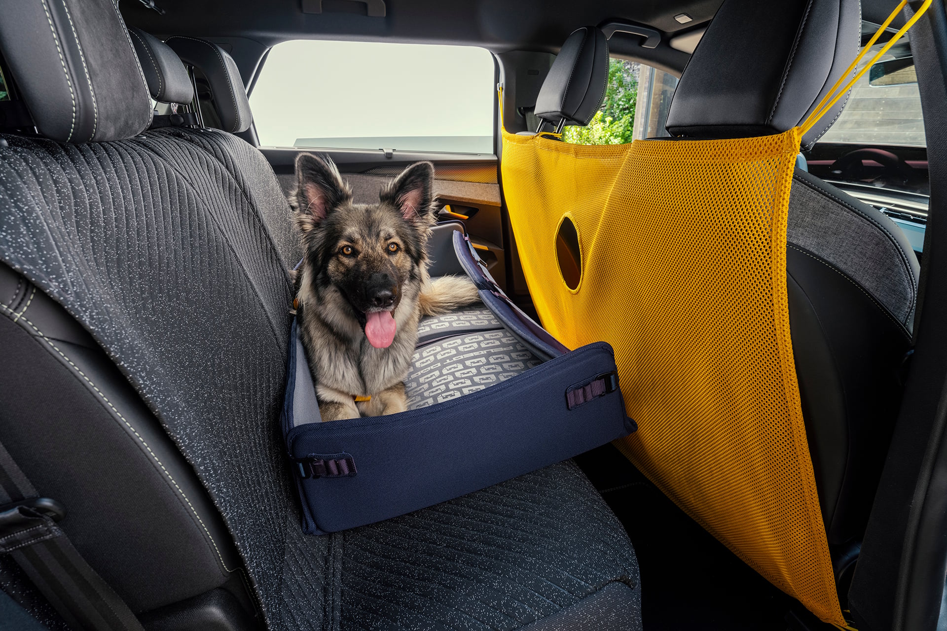 Peugeot E 5008 Dog Edition 2