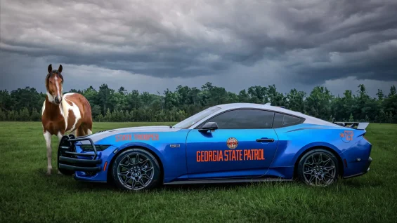 CARRO POLICIA GEORGIA