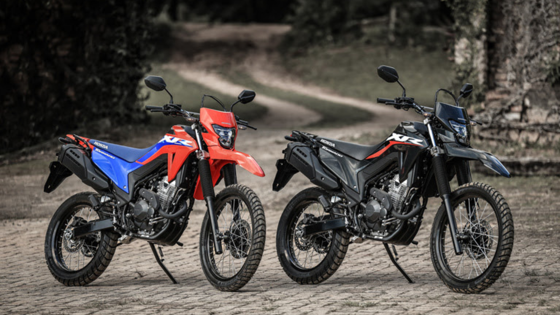 Honda XR300L Tornado 2027 (2)
