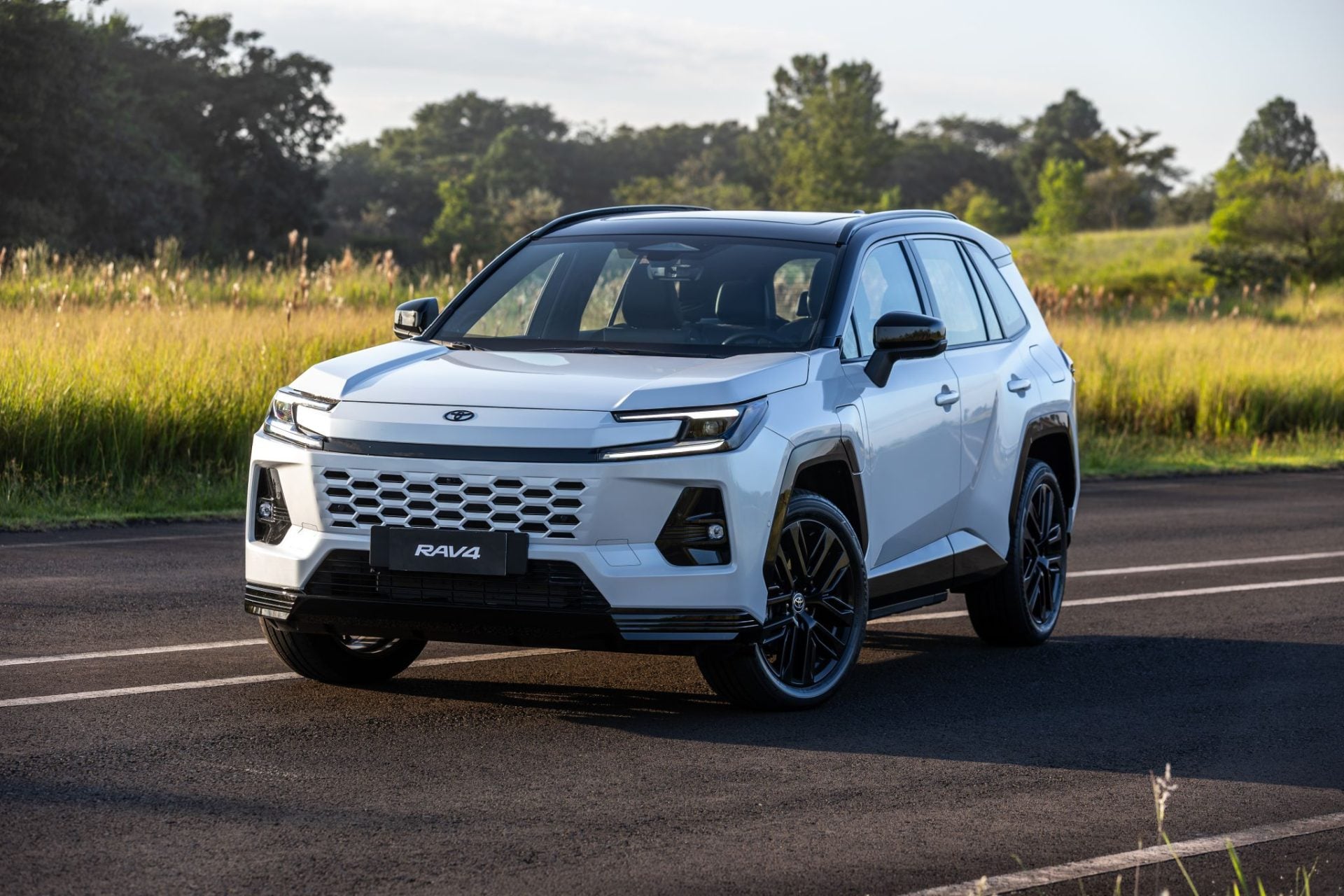 RAV4 PHEV (9)