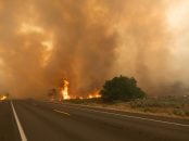 shutterstock queimadas nas rodovias incêndio fogo na beira da pista