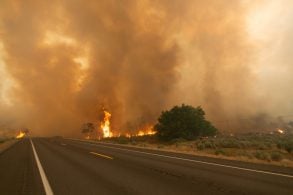 shutterstock queimadas nas rodovias incêndio fogo na beira da pista