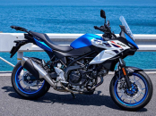 Suzuki SV 7GX (1)