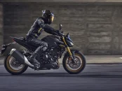 Honda CB1000 Hornet (4)