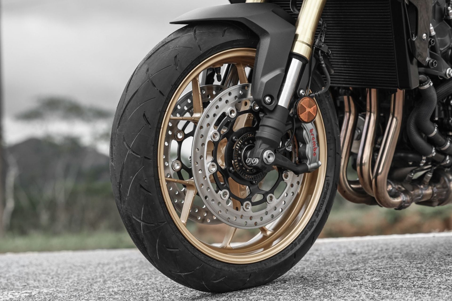 Honda CB1000 Hornet (14)