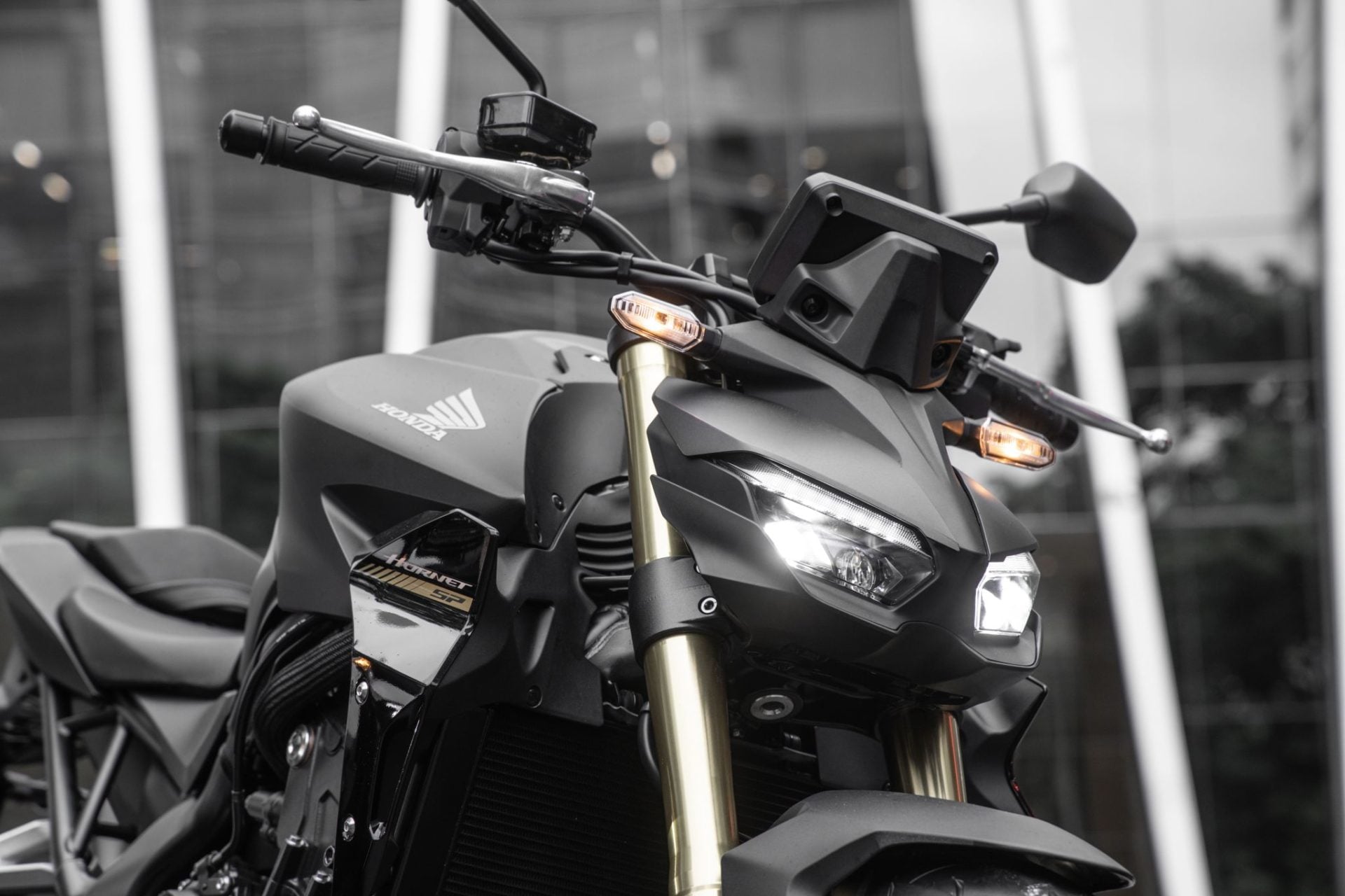Honda CB1000 Hornet (20)