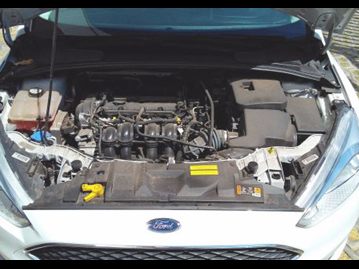 ford focus-hatch-se-16-16v-tivct-2015 motor