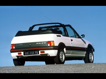 Peugeot 205 Cabriolet CJ 1.4 1993 | AutoPapo